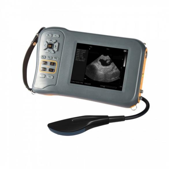 Versatile Ultrasound Machine for Small and Large Animal Scanning CBMVU42