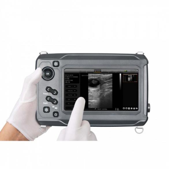 Compact Touch Ultrasound System for Large Animal Scanning CBMVU46