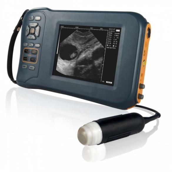 Versatile Ultrasound for Pig-Sheep-Goat Animal Scanning CBMVU44