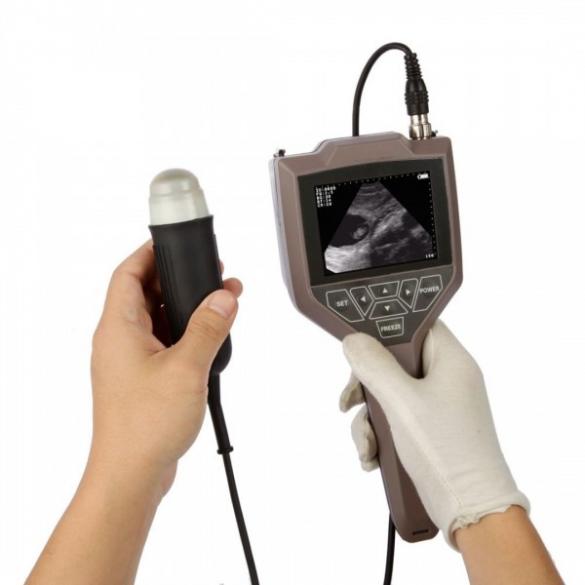 Full-digital Swine Ovine Ultrasound Scanner CBMVU43