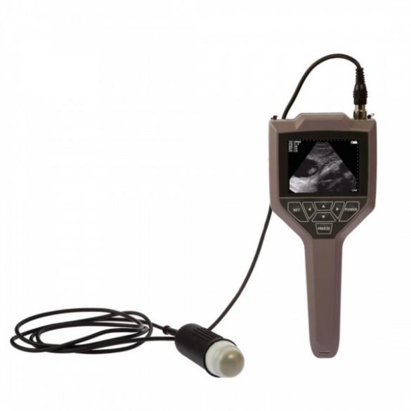 Full-digital Swine Ovine Ultrasound Scanner CBMVU43