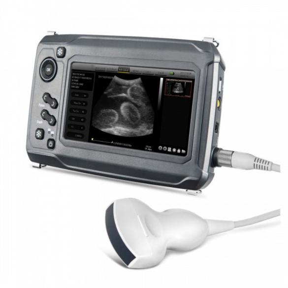 Compact Touch Ultrasound System for Large Animal Scanning CBMVU46