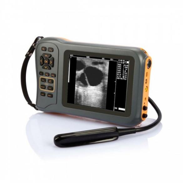 Versatile Ultrasound Machine for Small and Large Animal Scanning CBMVU42